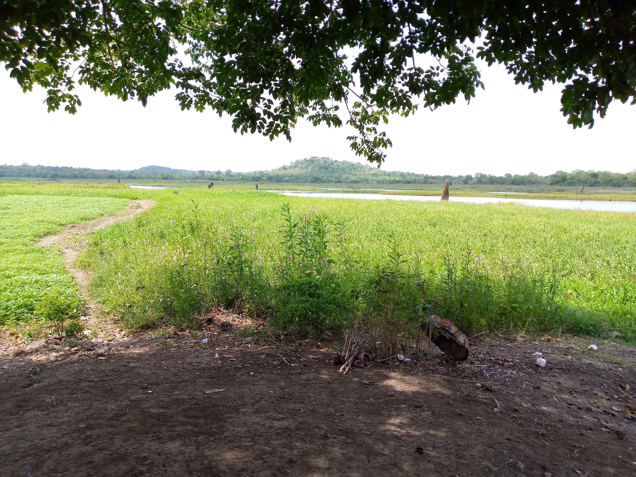 Lafiya Grazing Reserve in Ogun State