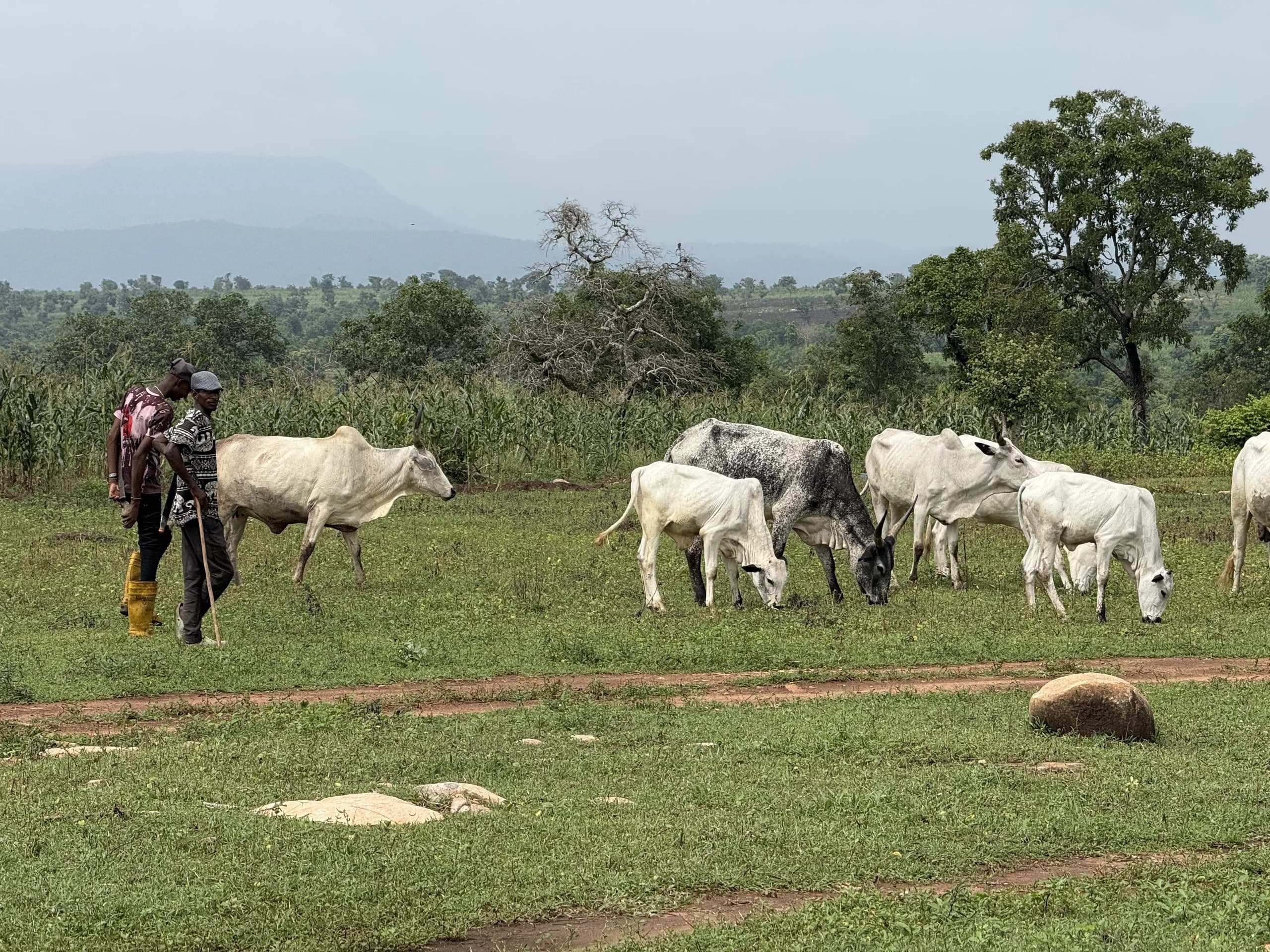 Ero Mountain Grazing Reserve