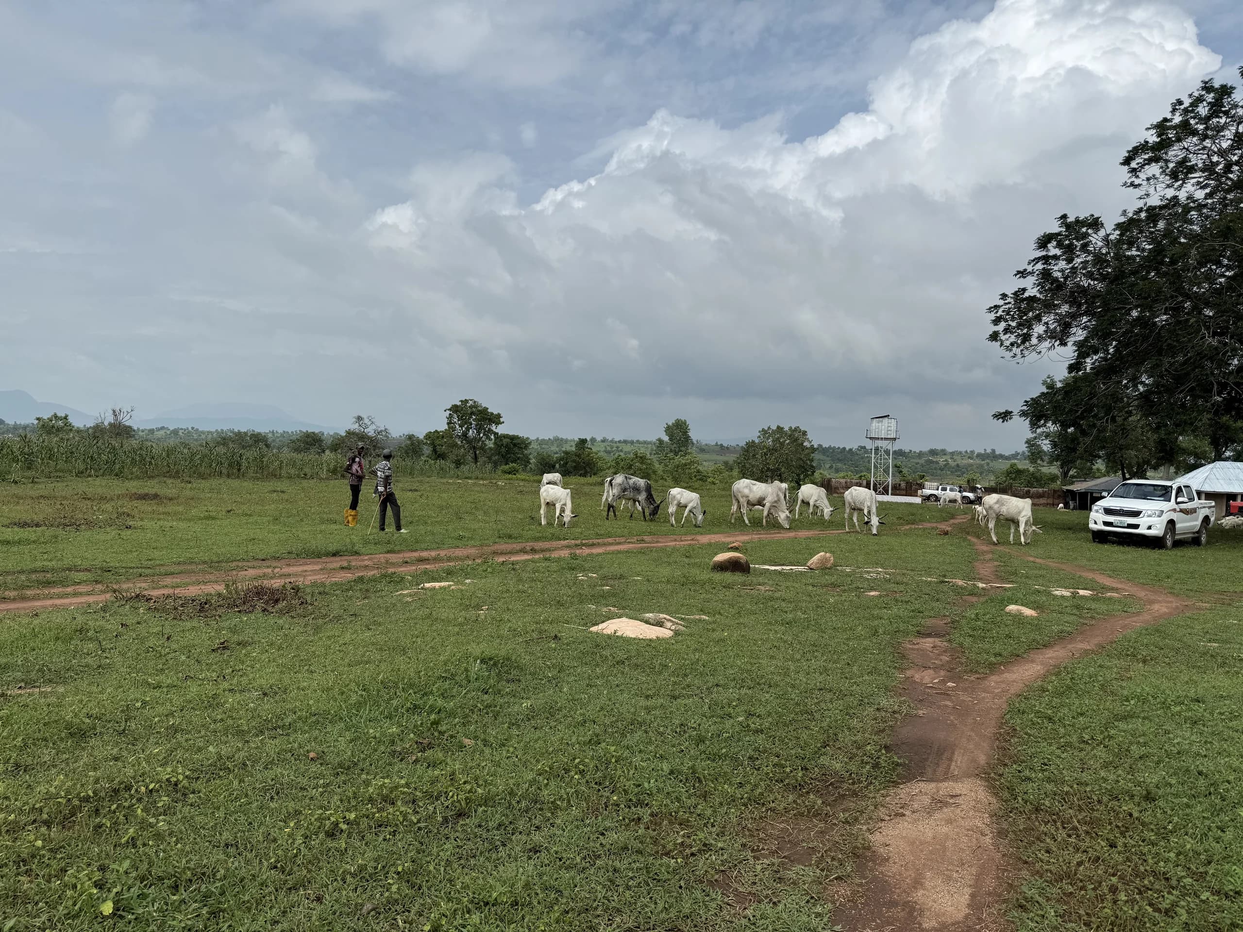 Ero Mountain Grazing Reserve