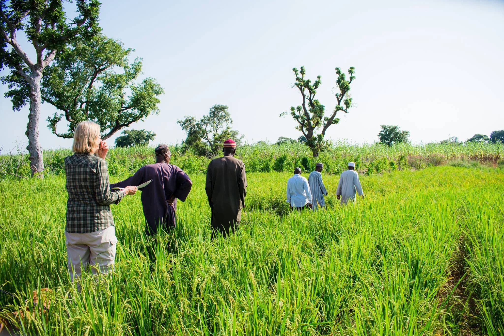 Lafiya Grazing Reserve