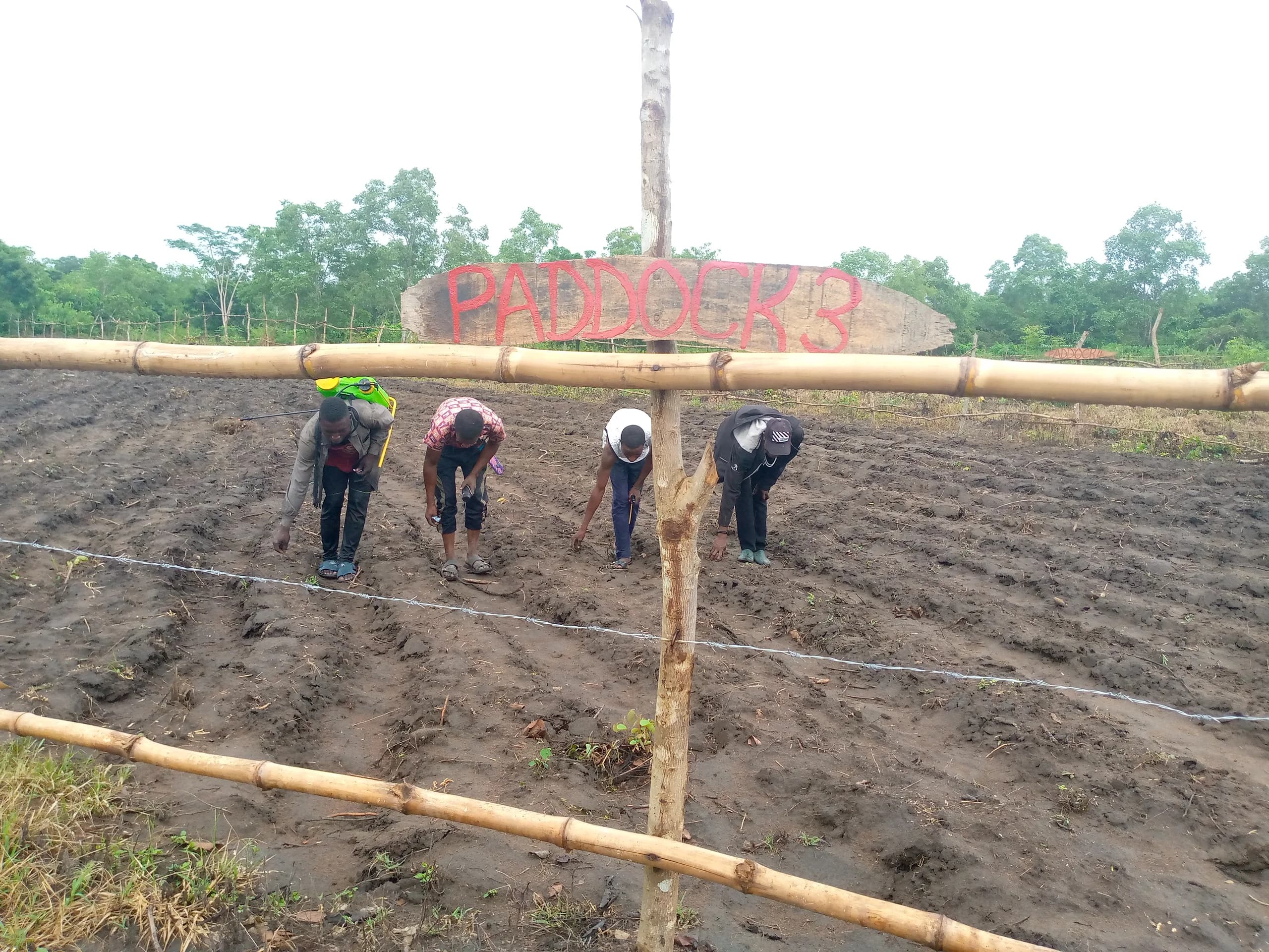 Lafiya Grazing Reserve